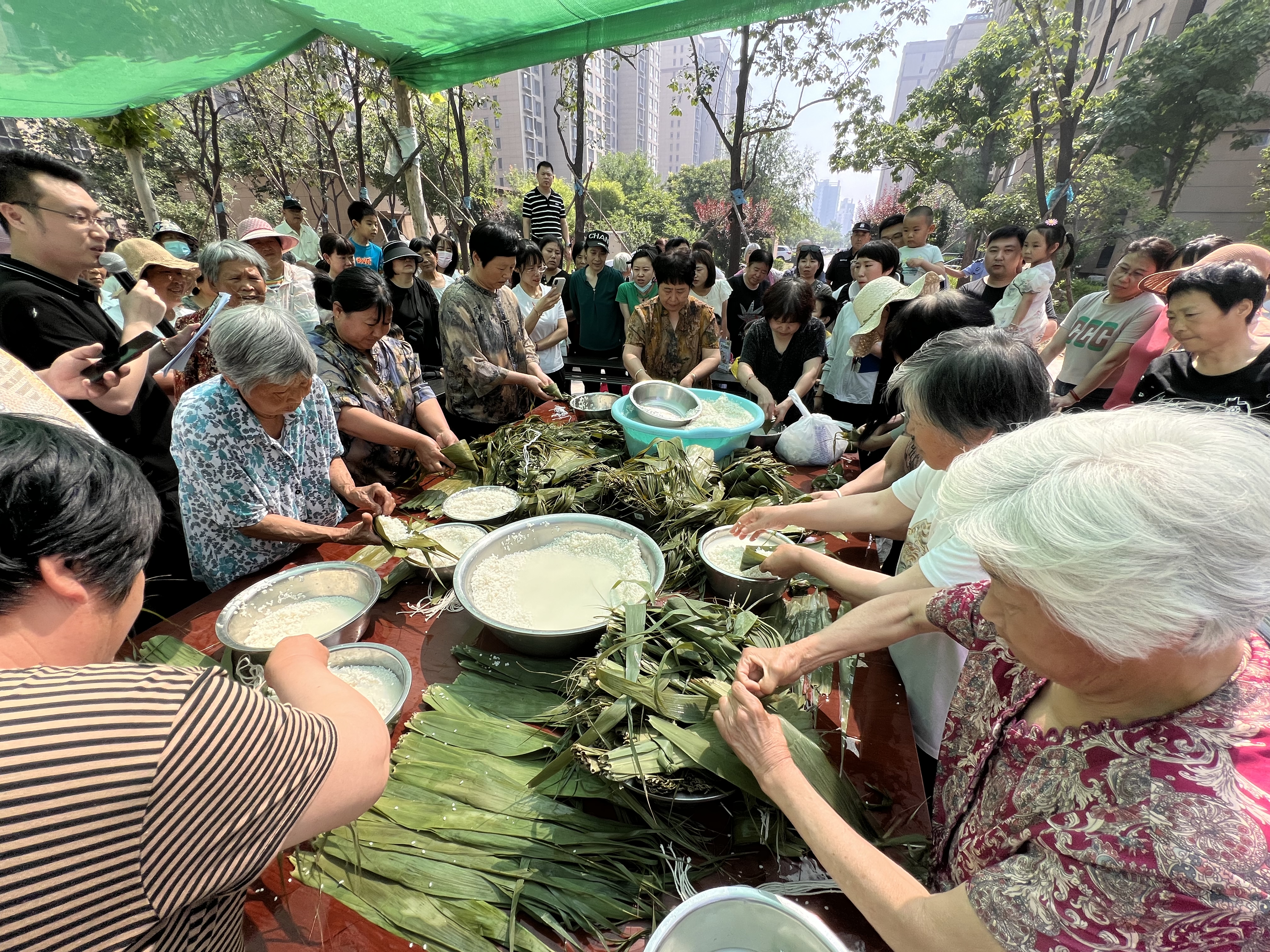 微信图片_20240610114136.jpg